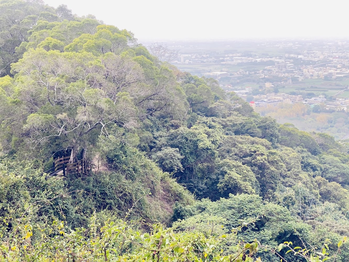 麒麟山森林步道觀景平台與平原視野