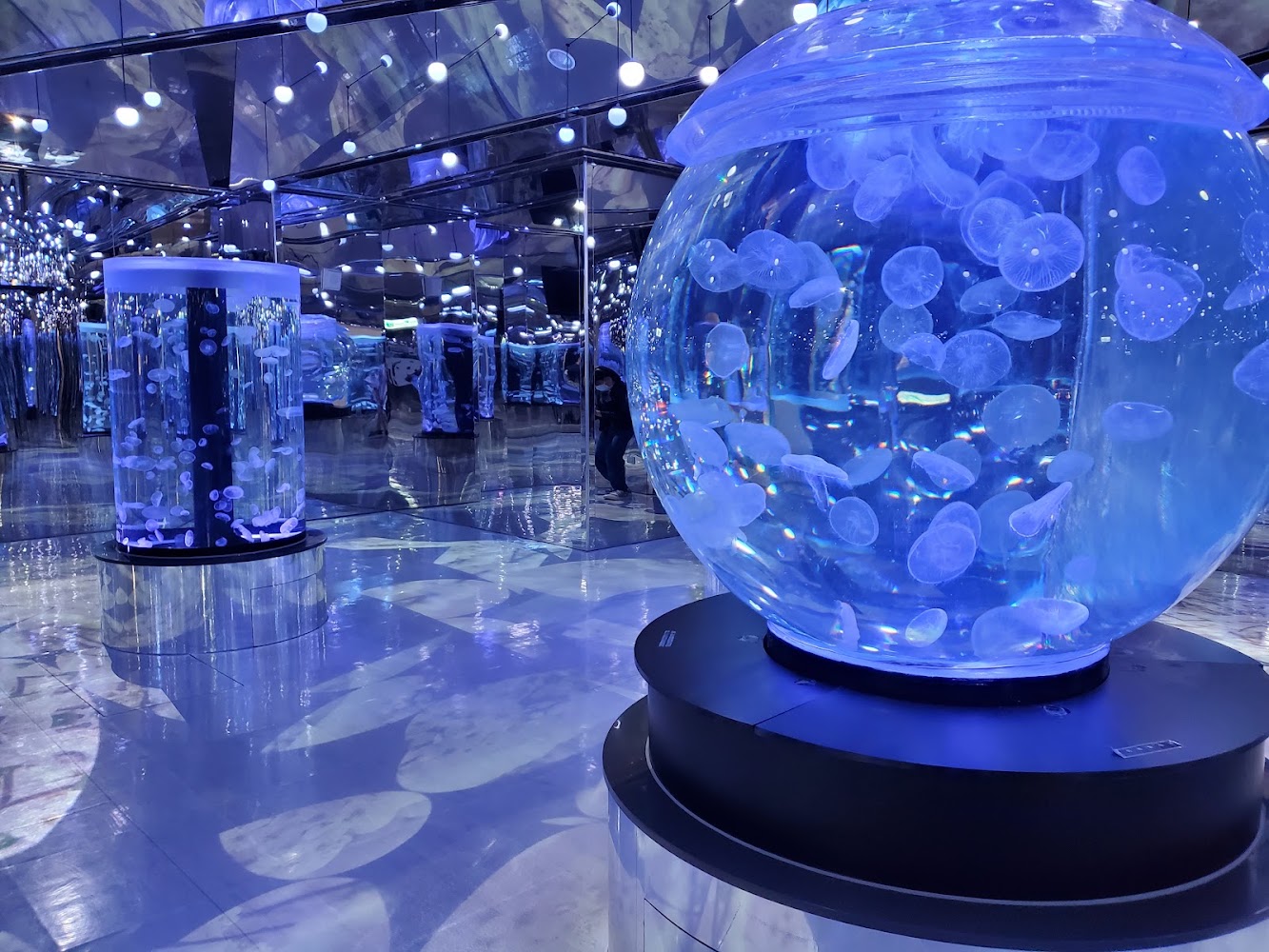Xpark水母展區