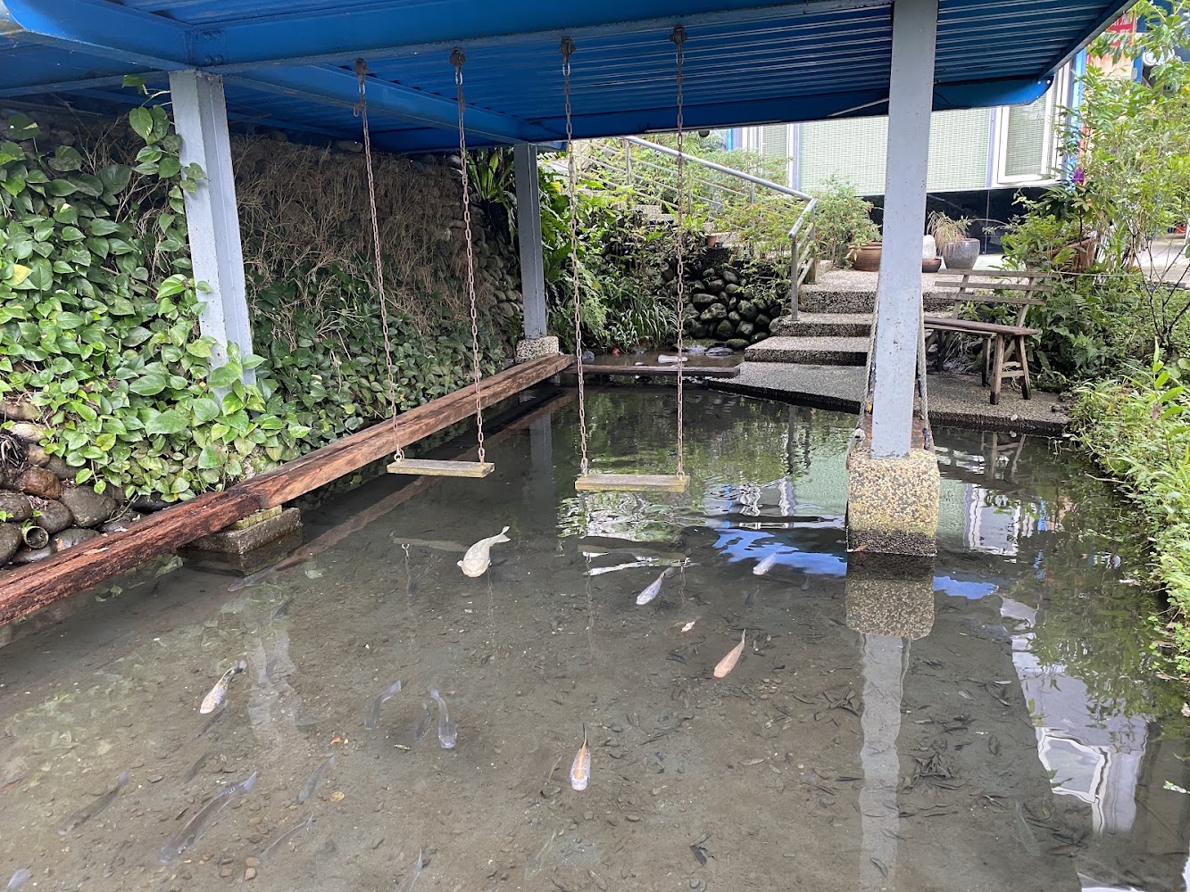 花泉休閒農場水池與鞦韆