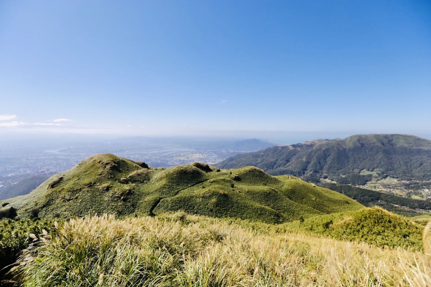 陽明山芒草山稜與遠景