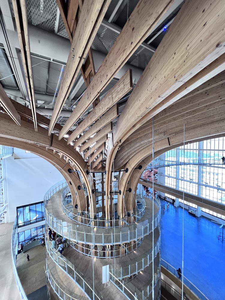 半山夢工廠生命樹木構建築