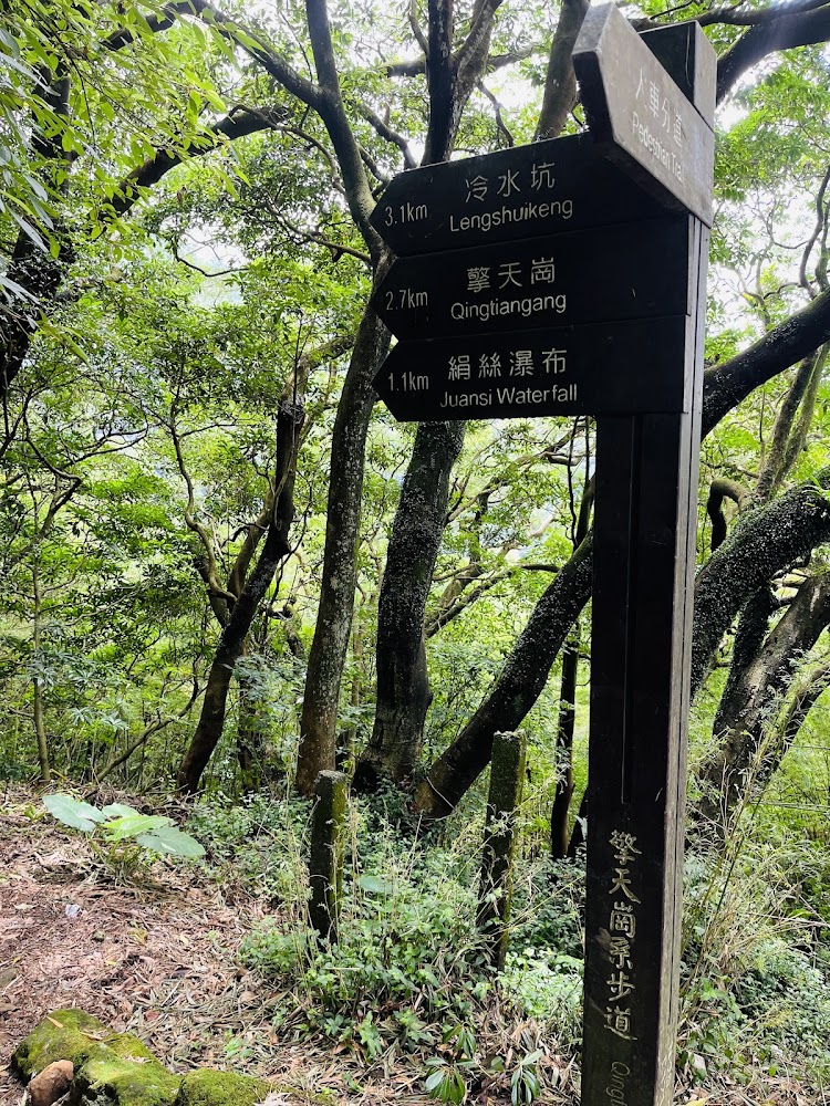 森林中的指示牌標示冷水坑擎天崗與絹絲瀑布