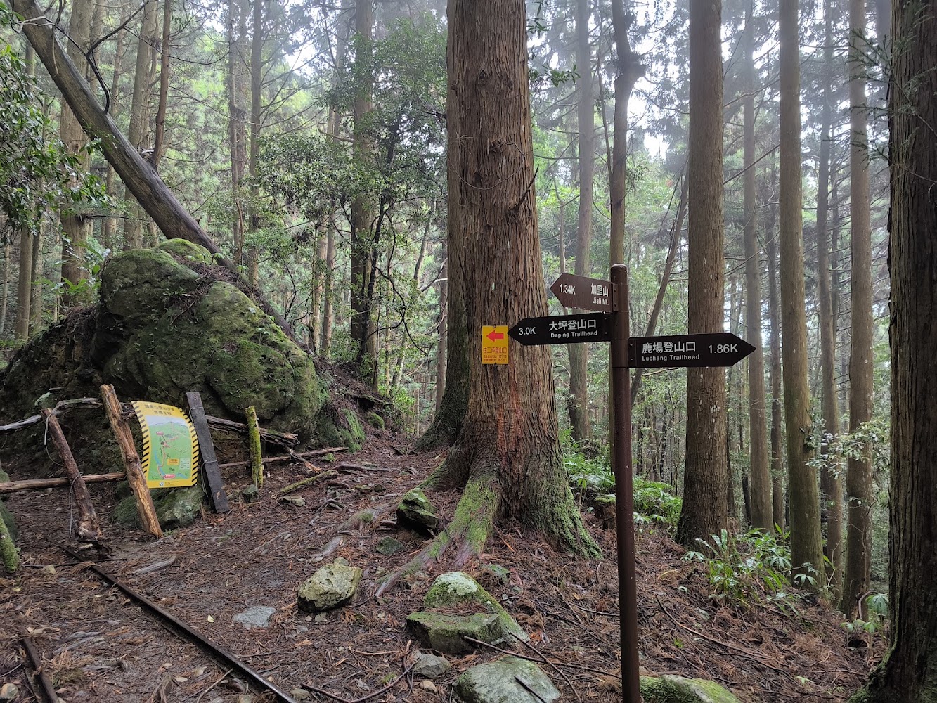 加里山森林步道中的指示牌與青苔石