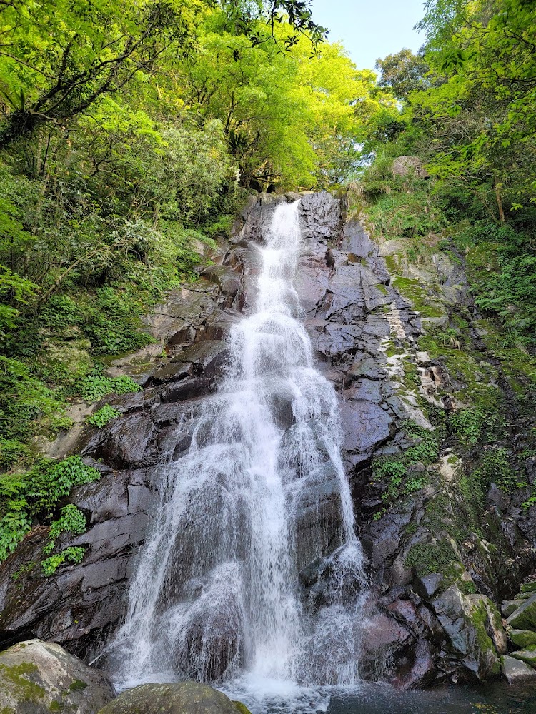 陽明山森林瀑布