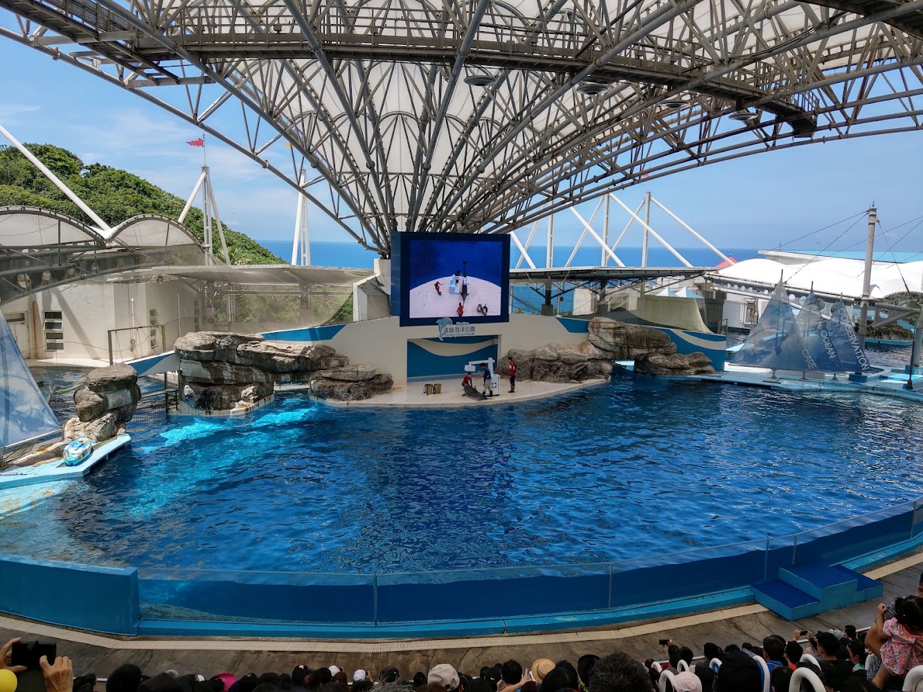 大型水族表演場地與滿席觀眾