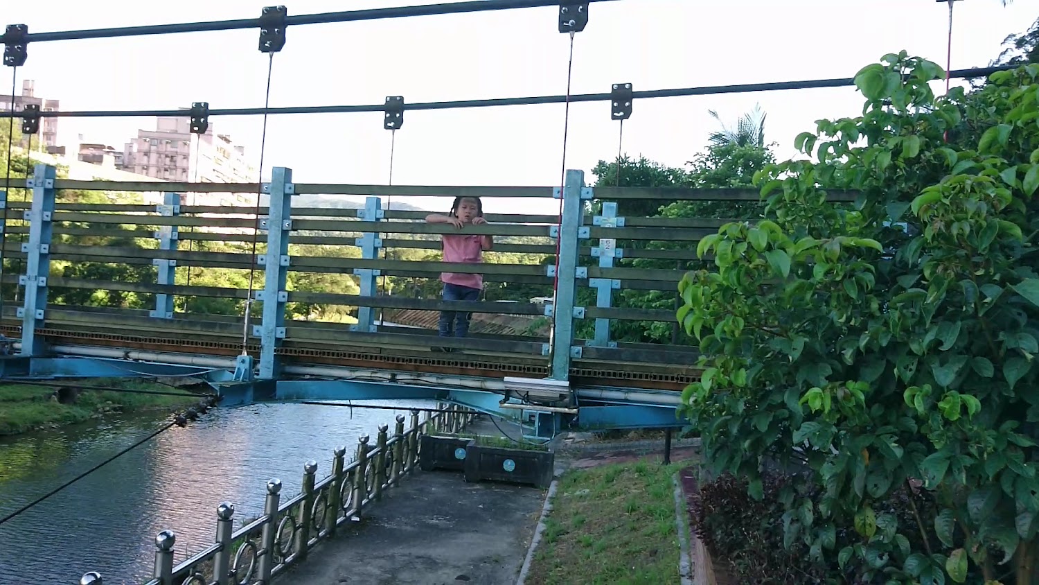 吊橋與河道景觀