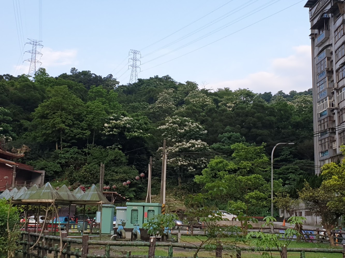 碇內十五號公園周邊山坡與開花樹木