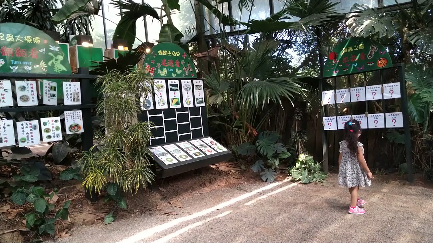 自然教育展示區與互動設施
