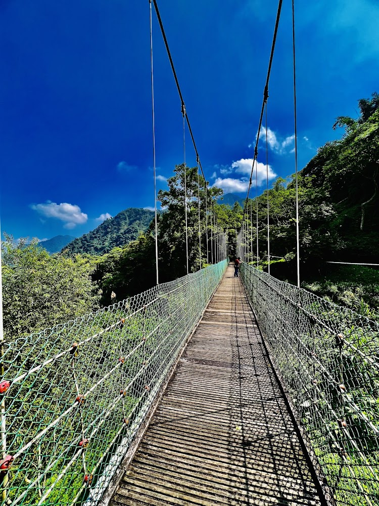 山林吊橋景觀