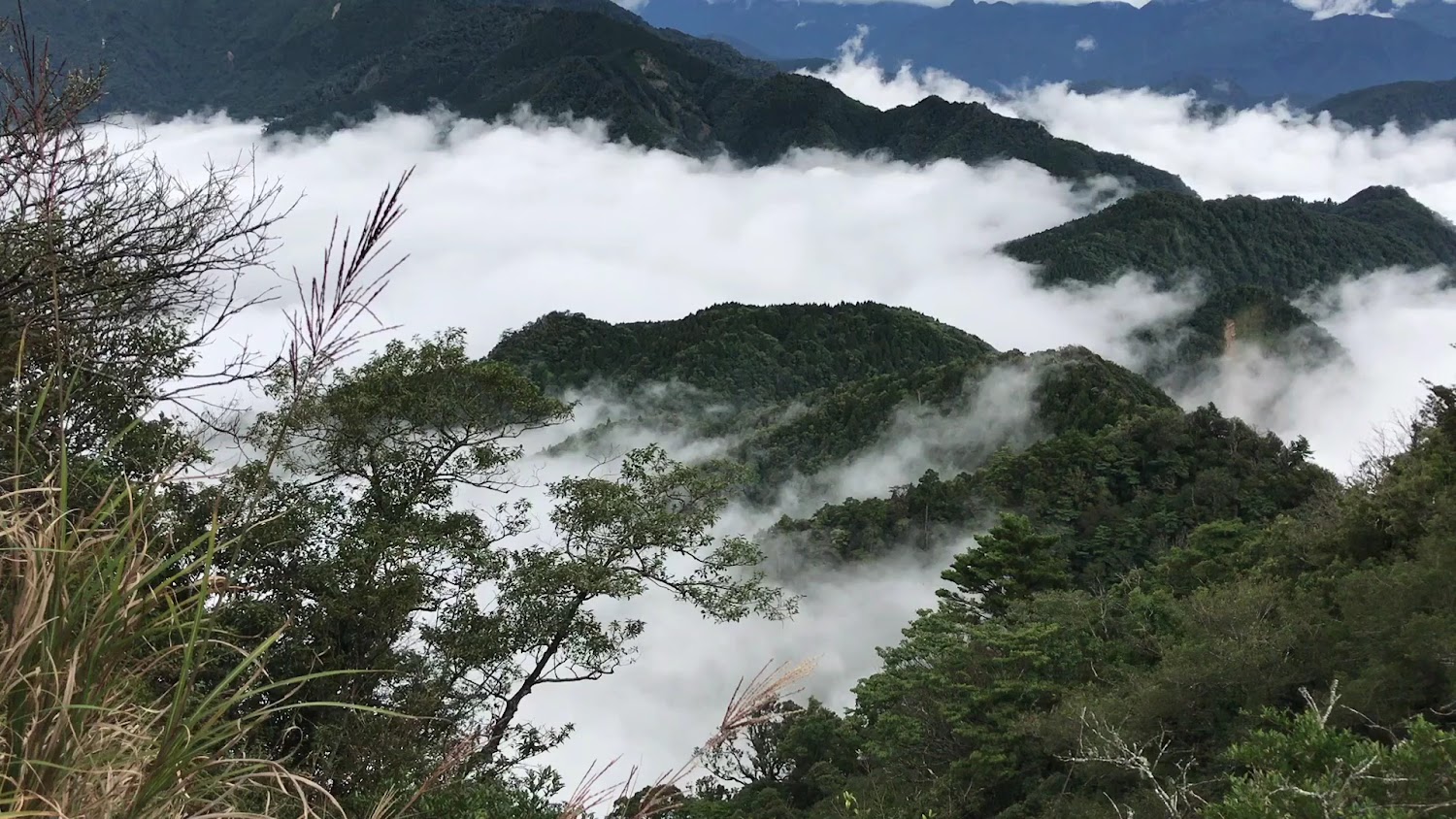 加里山遠眺雲海山景
