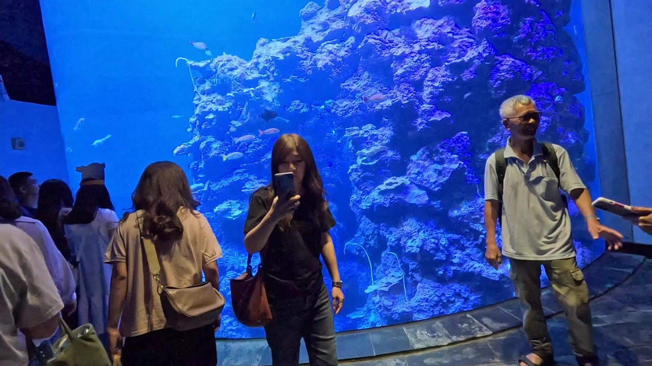 珊瑚王國館大型珊瑚魚群展示窗