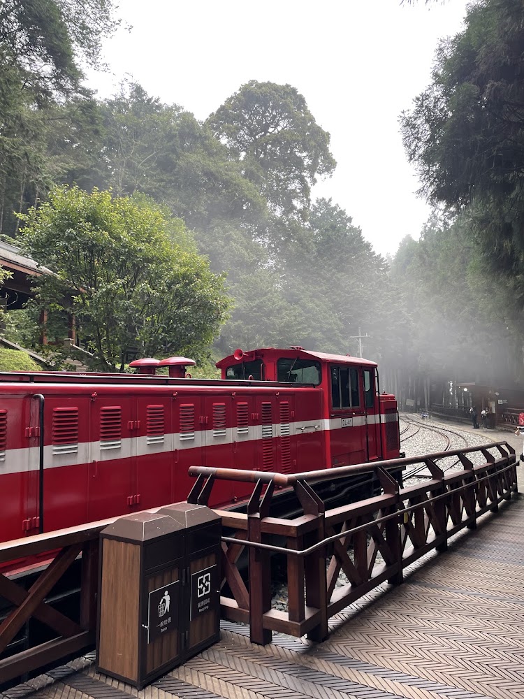森林中的紅色阿里山小火車行駛畫面