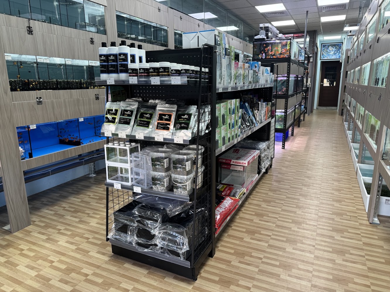 巷弄水族 店內環境