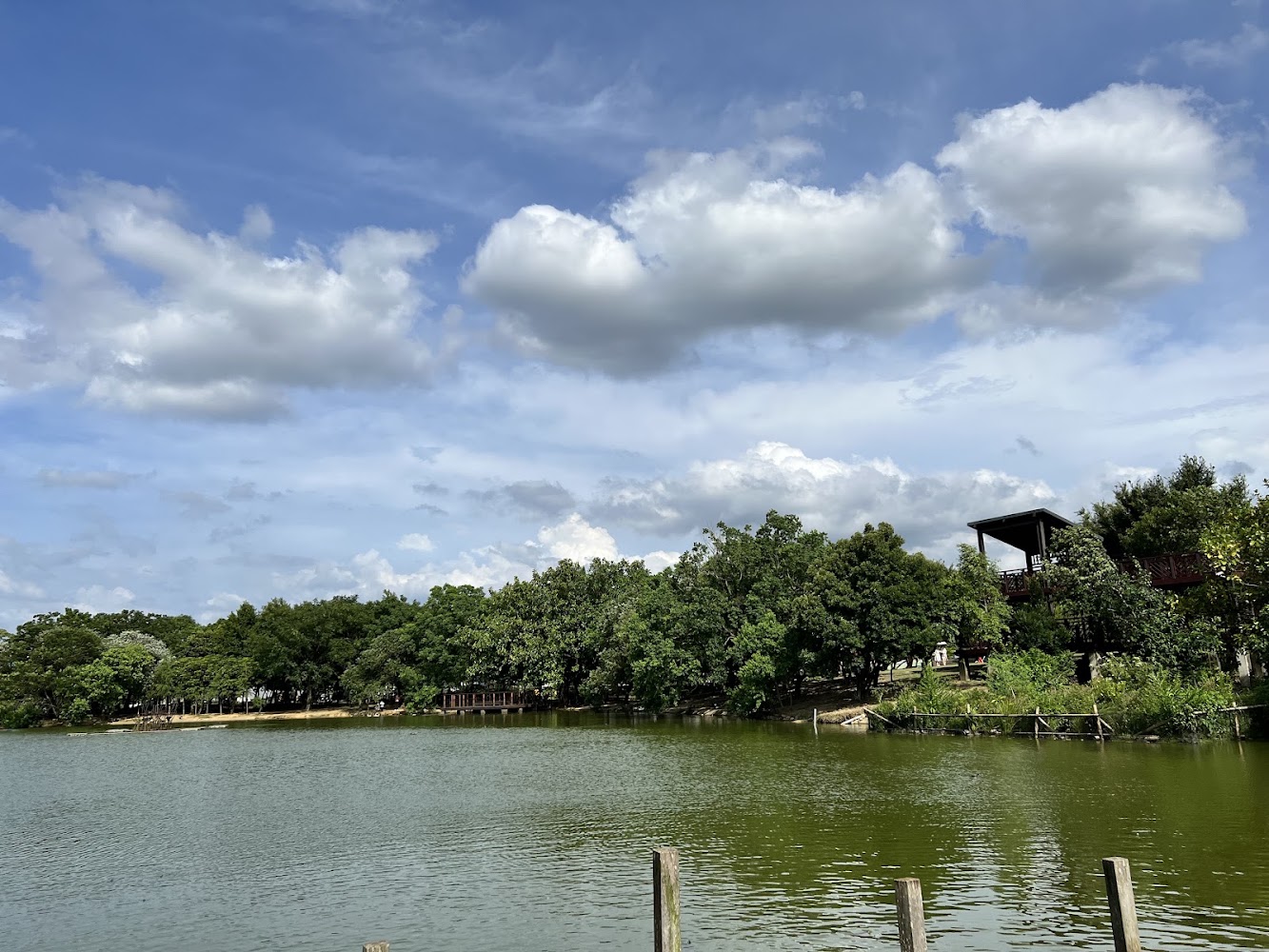 八德埤塘自然生態公園湖景