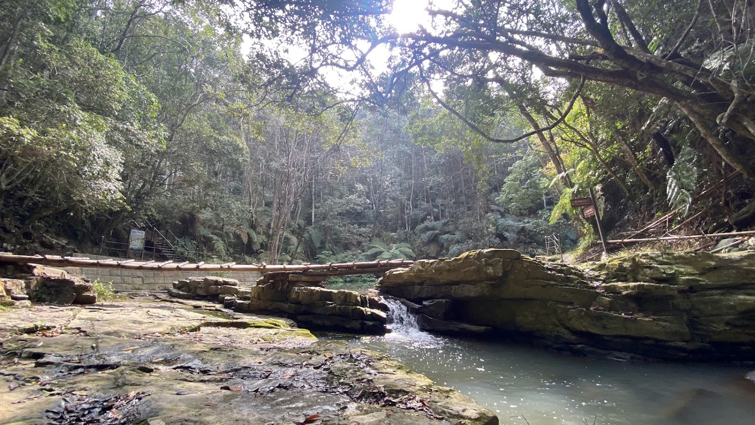 澀水森林步道木棧橋與溪谷
