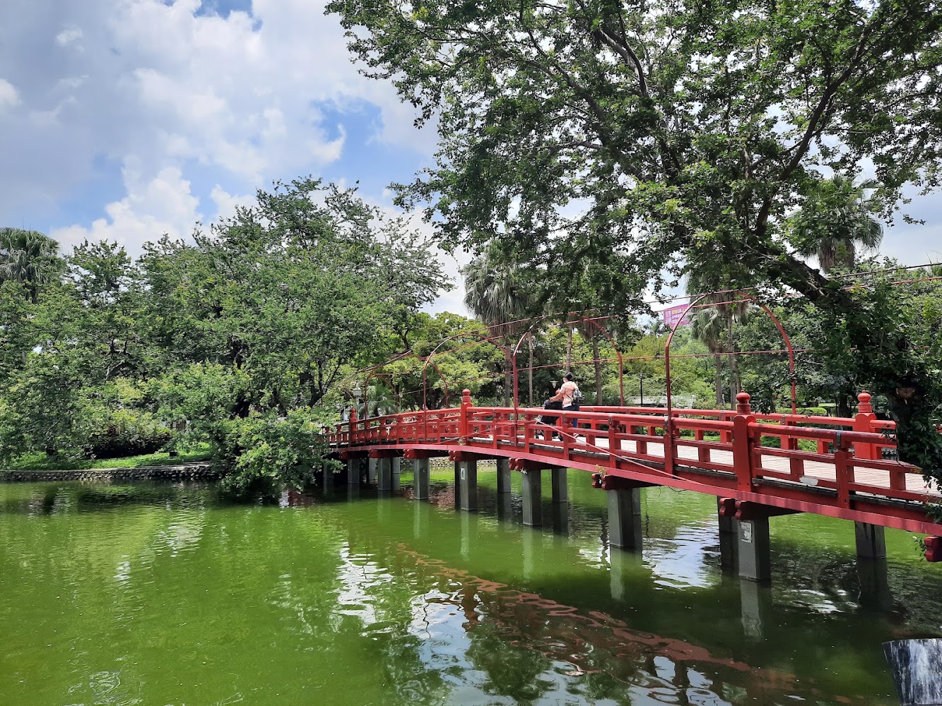 臺中公園紅橋與池塘景色