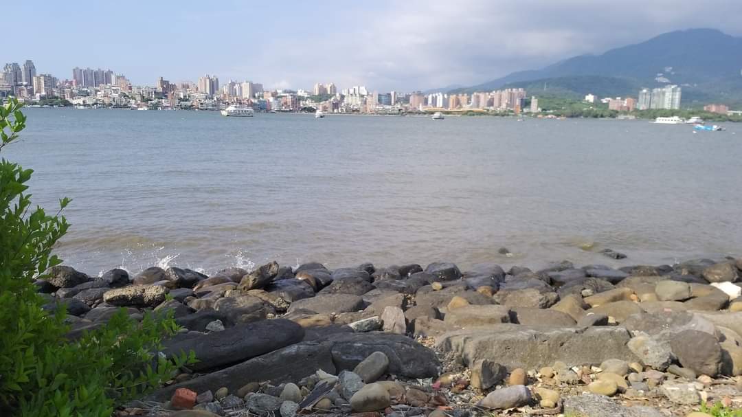 河岸石頭植物與對岸高樓山景