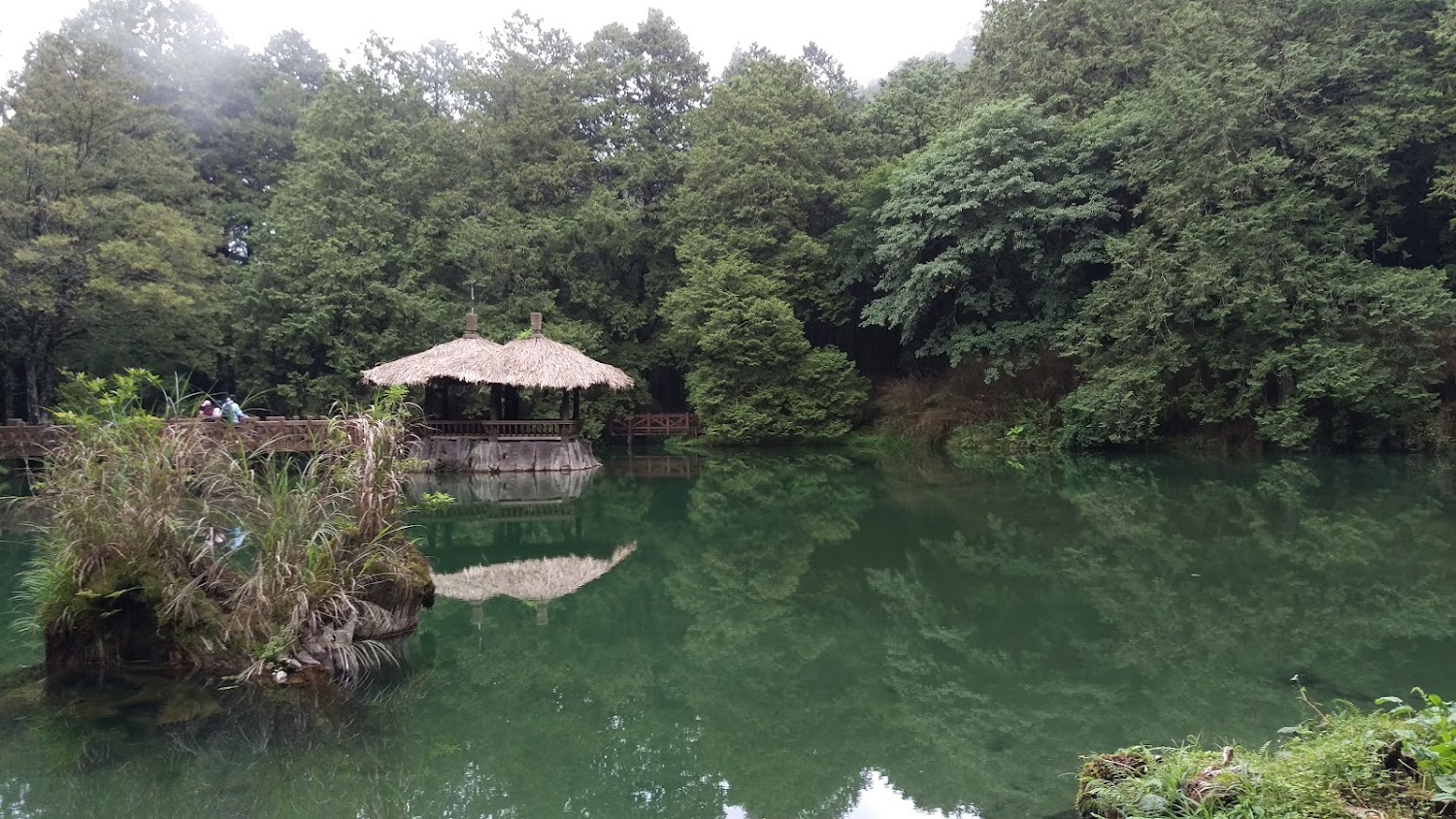 湖中央茅草亭與茂密樹林倒影