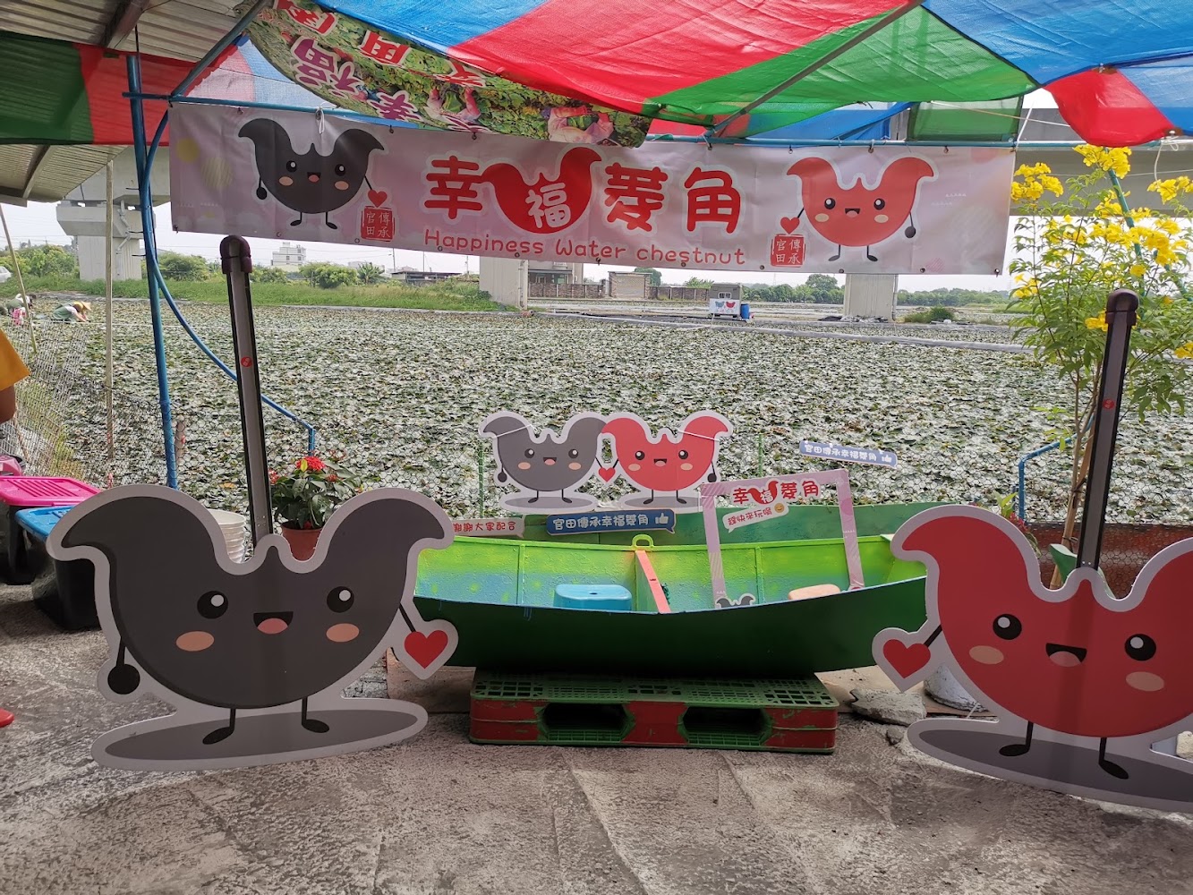幸福菱角活動攤位與卡通菱角裝置