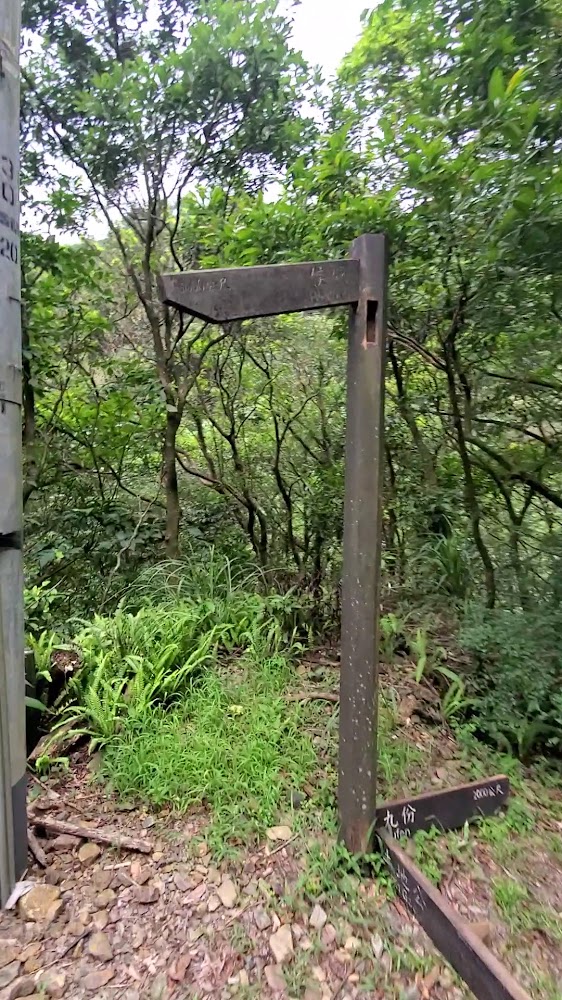山林中的木製指標牌