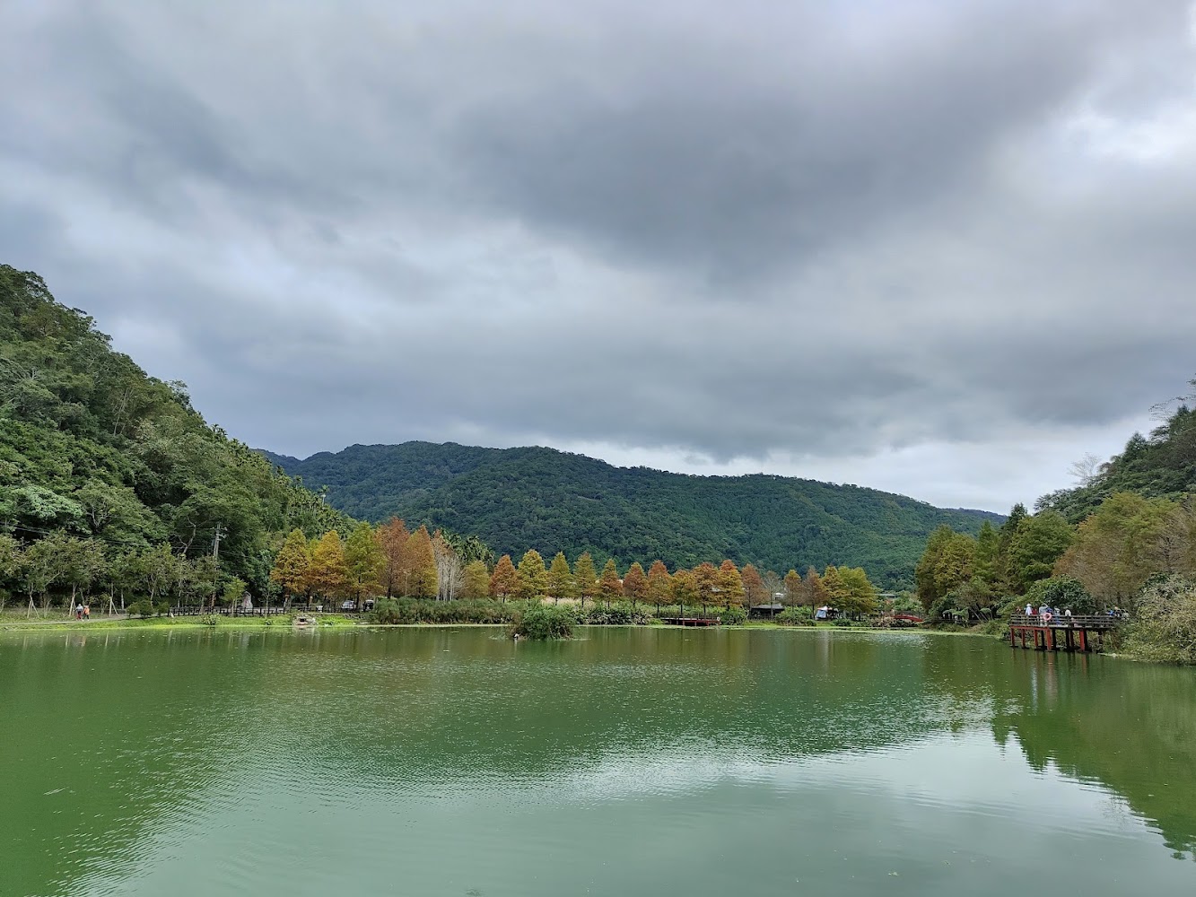 望龍埤湖畔步道與山景