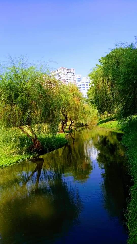台南市河岸與綠意景觀