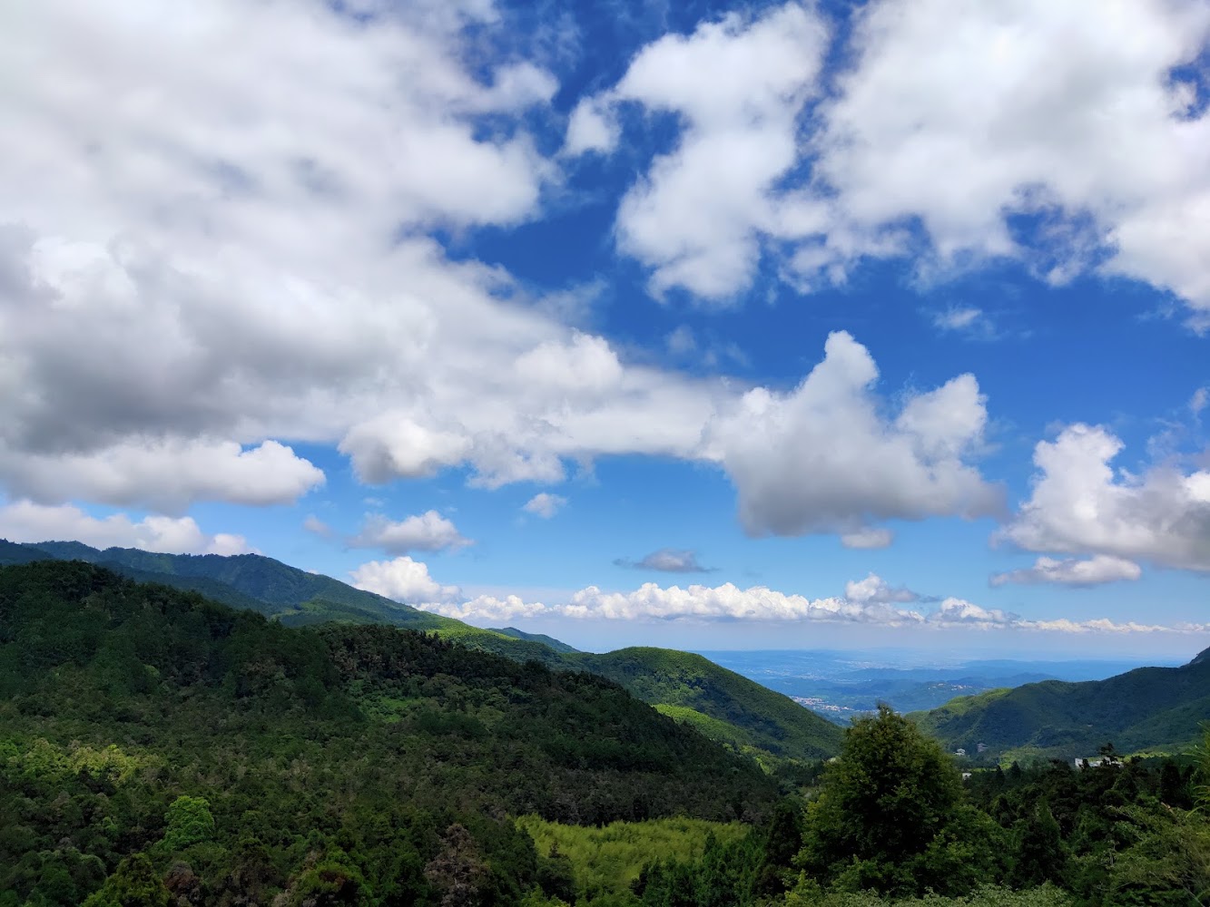 溪頭綠色山林與藍天白雲遠景