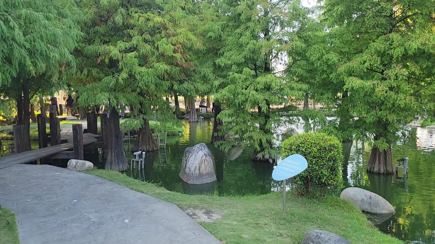 綠意盎然的池塘景觀,有樹木石頭步道與木橋