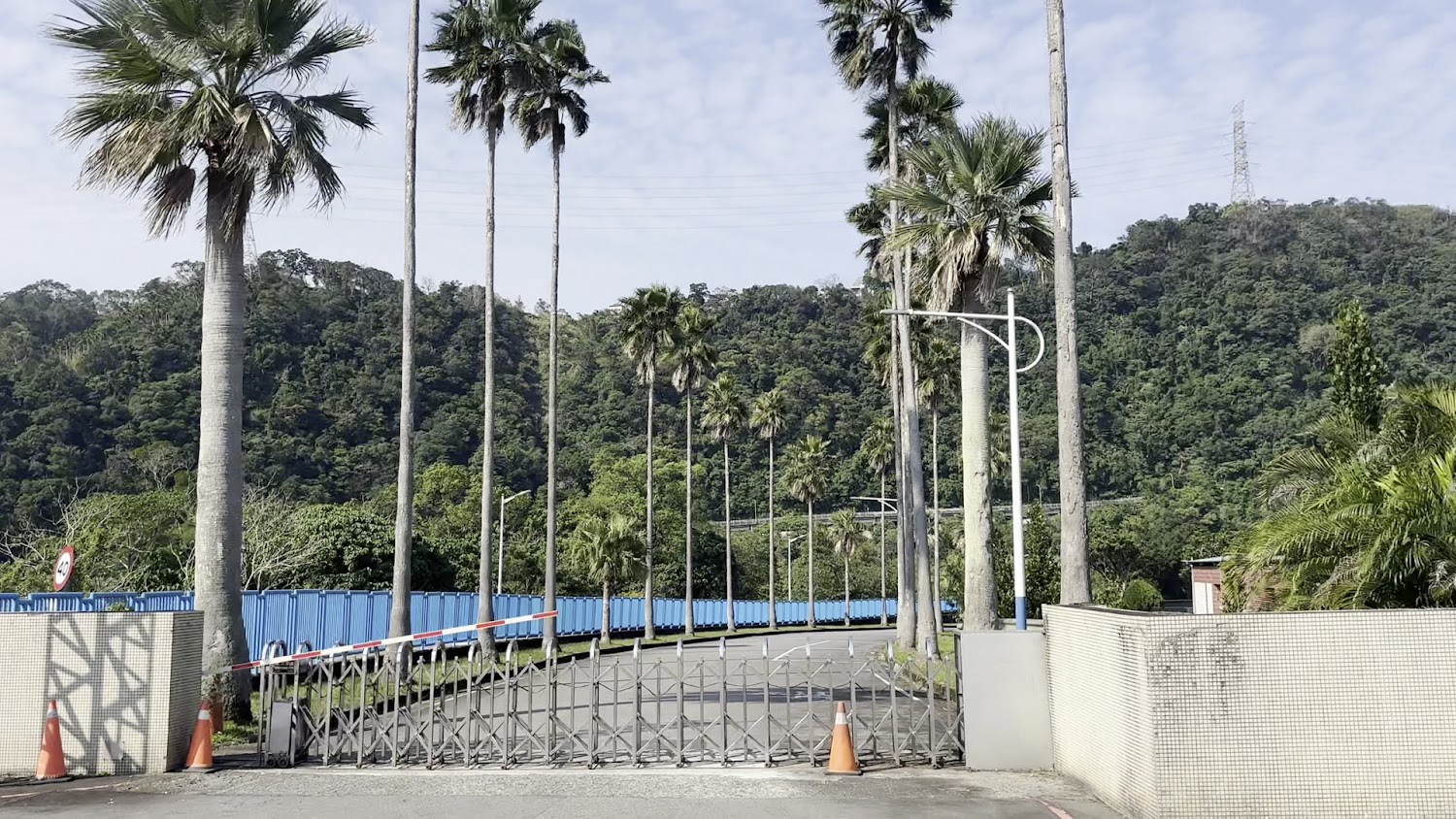 直潭淨水場入口道路與棕櫚樹