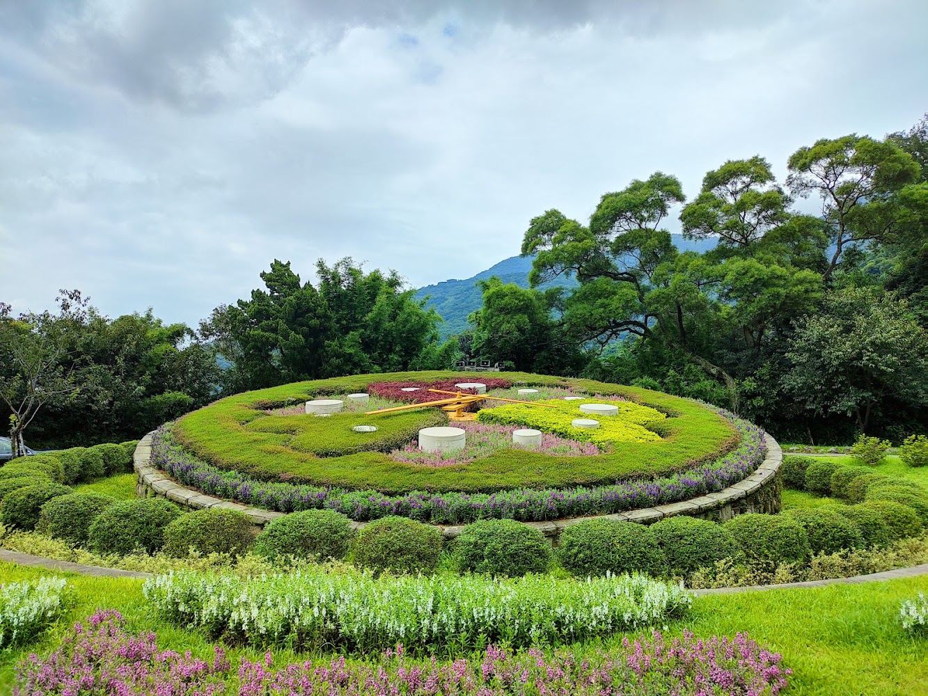 陽明山花鐘與山景