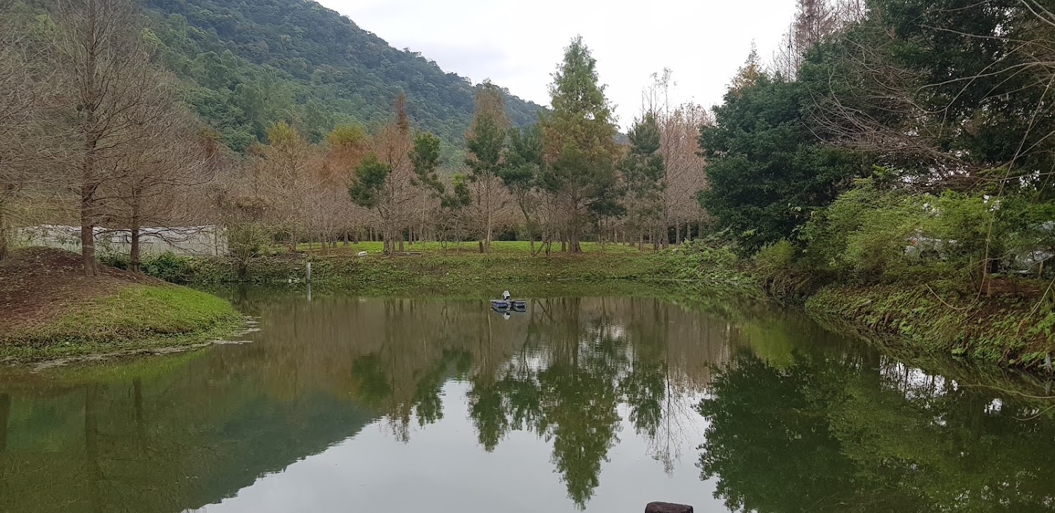 平靜湖泊倒映樹木與山景，湖面中央有小船