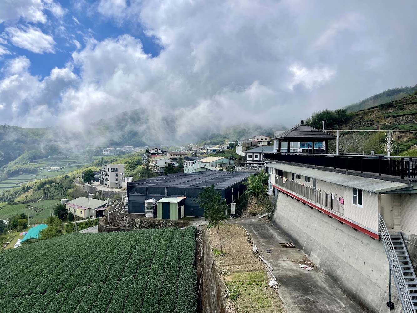 山上的村莊茶園與雲霧繚繞景致
