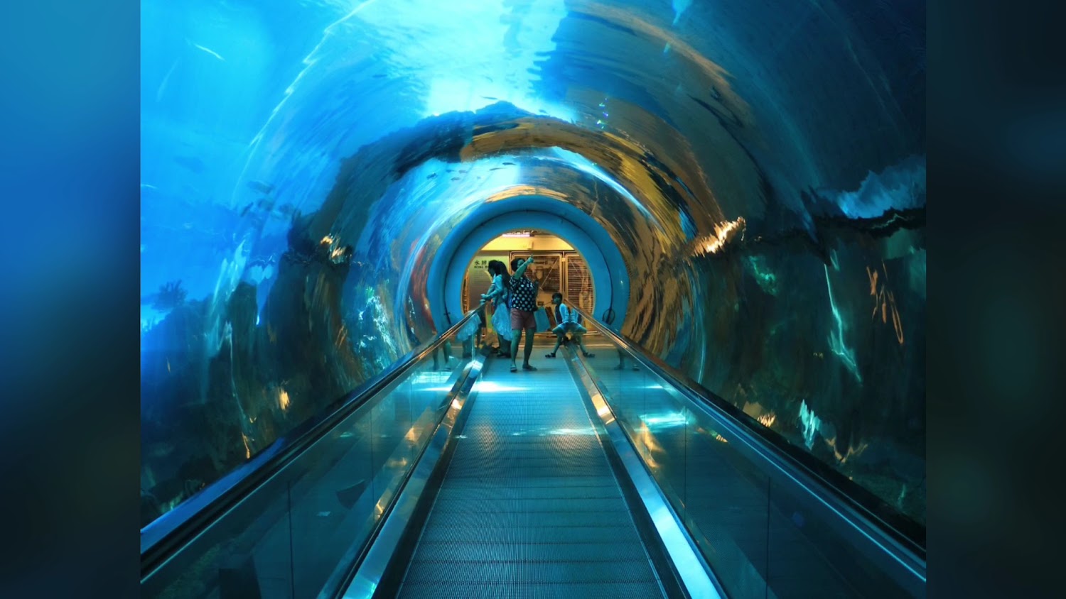 國立海洋生物博物館海底隧道
