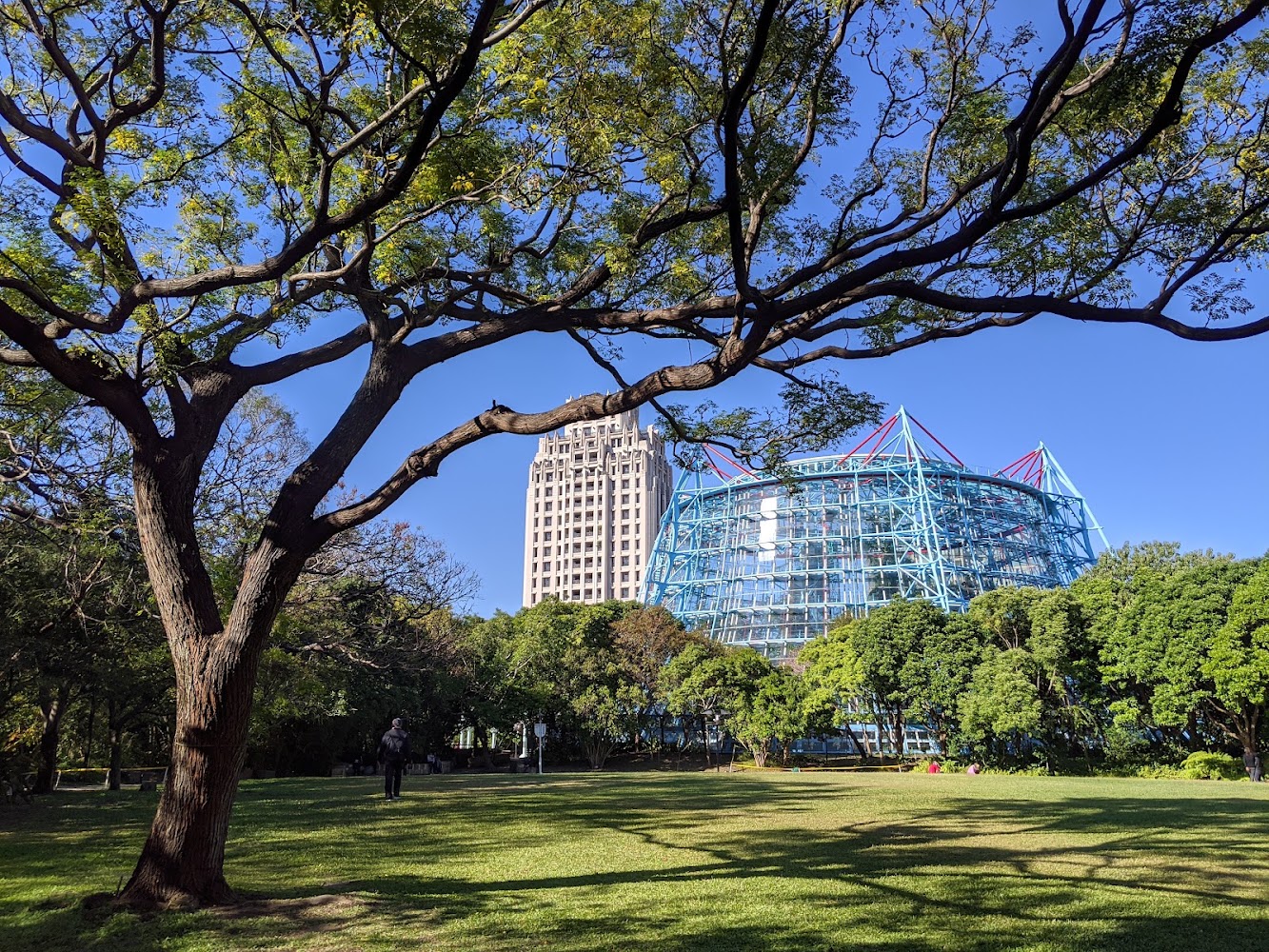植物園戶外綠地與藍色鋼構建築