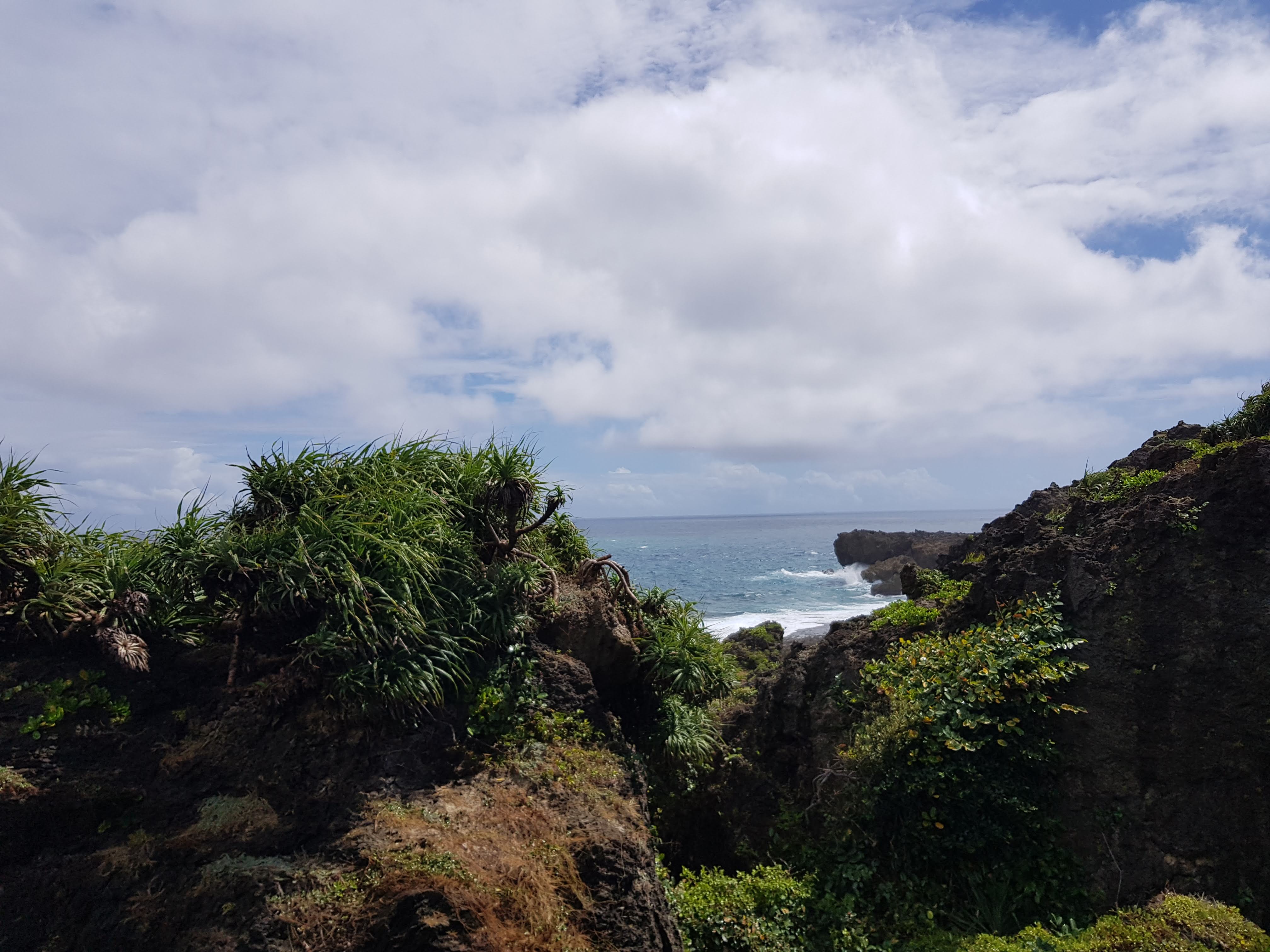 墾丁國家公園海岸岩石與綠色植物
