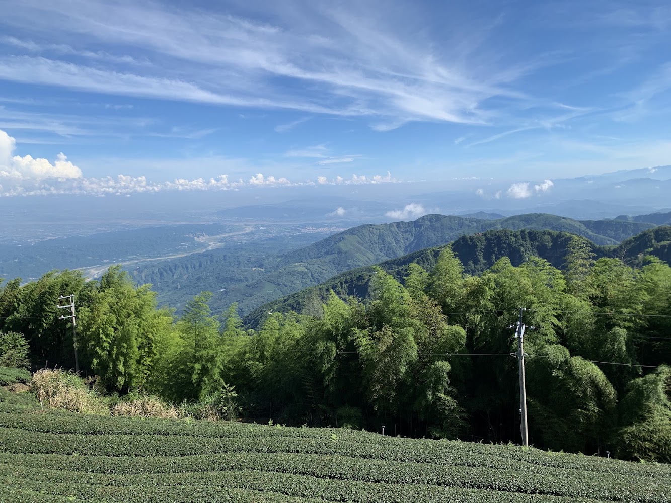 廣闊山景與前景茶園竹林