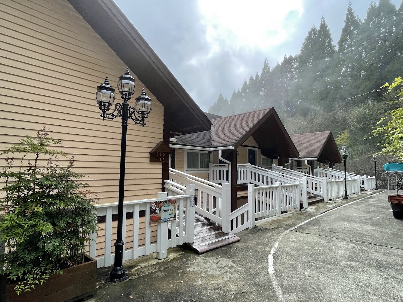 林中道路旁排列整齊的小木屋住宿區