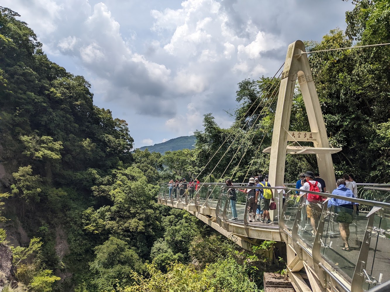 小烏來森林山谷中的透明天空步道