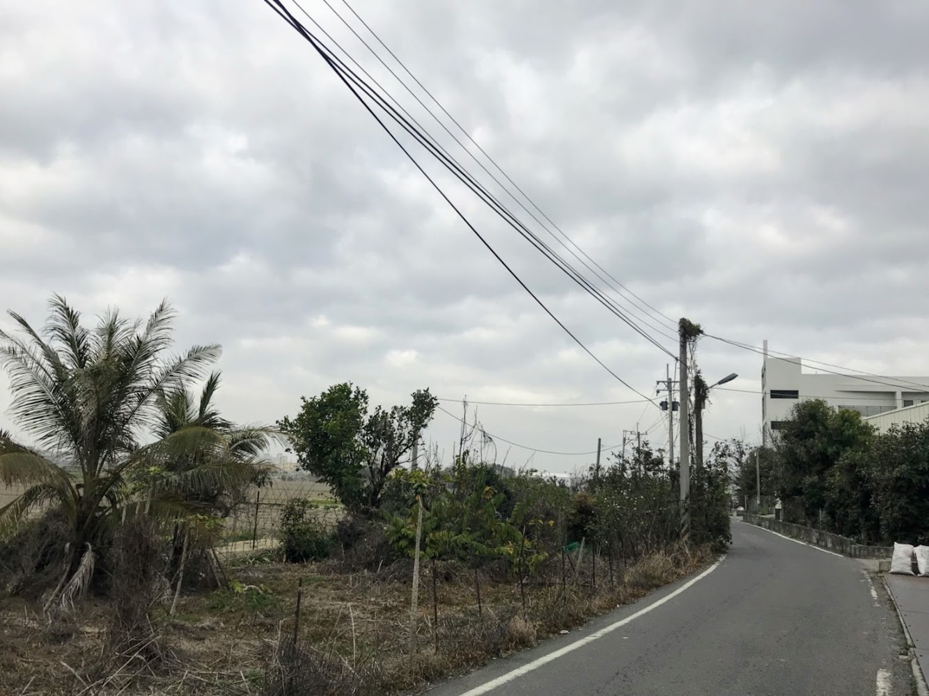 彰化鄉間小路與白色建築