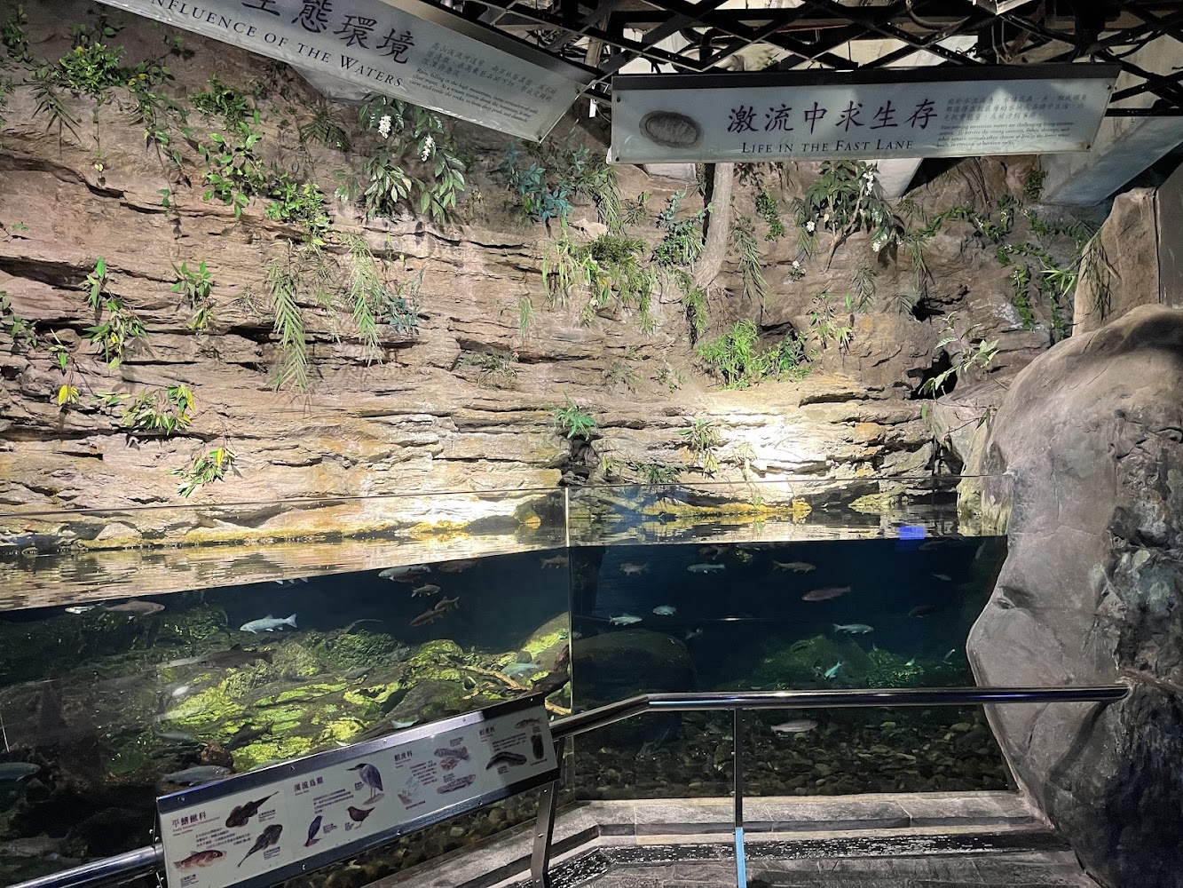 臺灣水域館室內展示區與解說牌