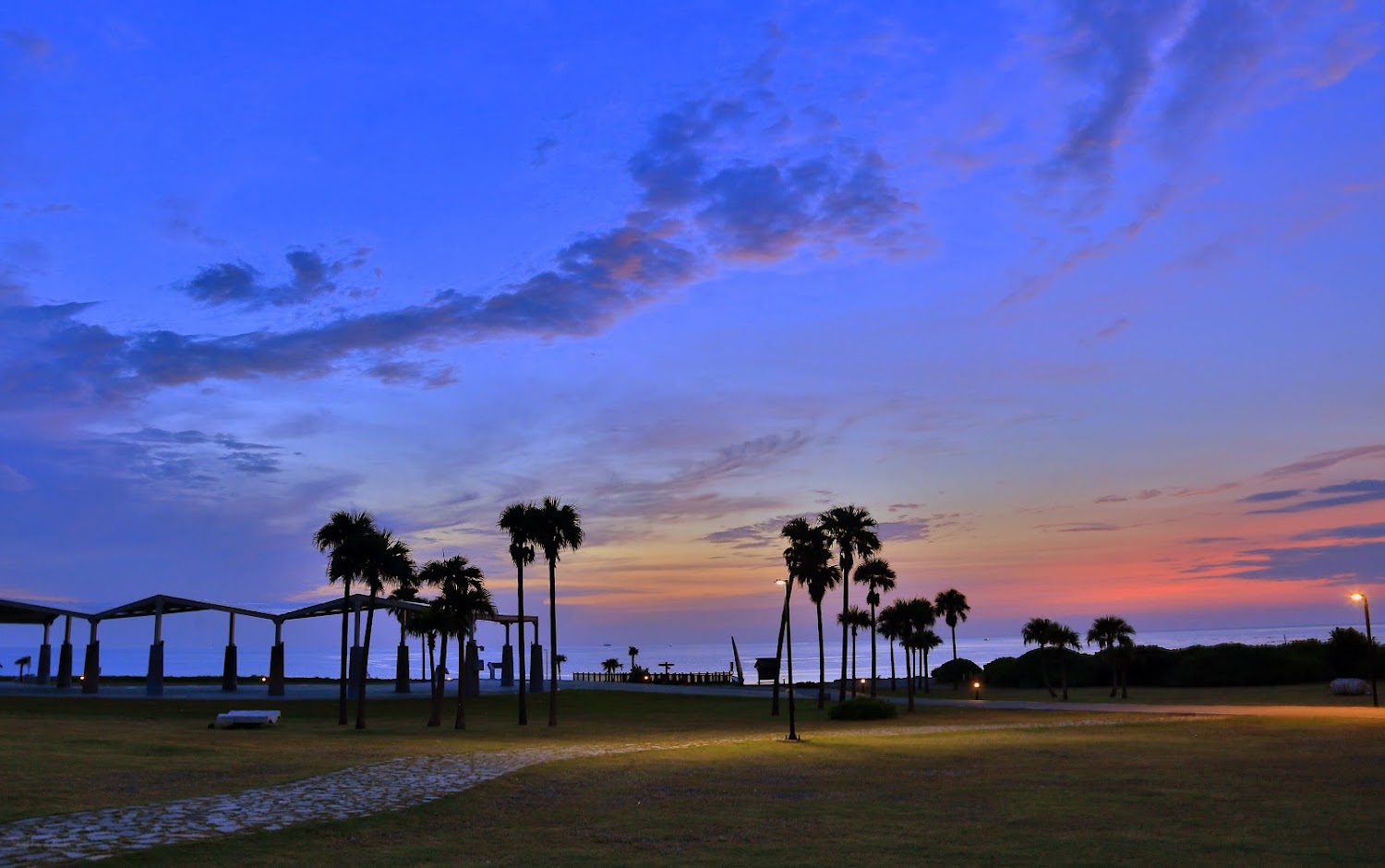夕陽下的七星潭海濱公園草地與椰子樹