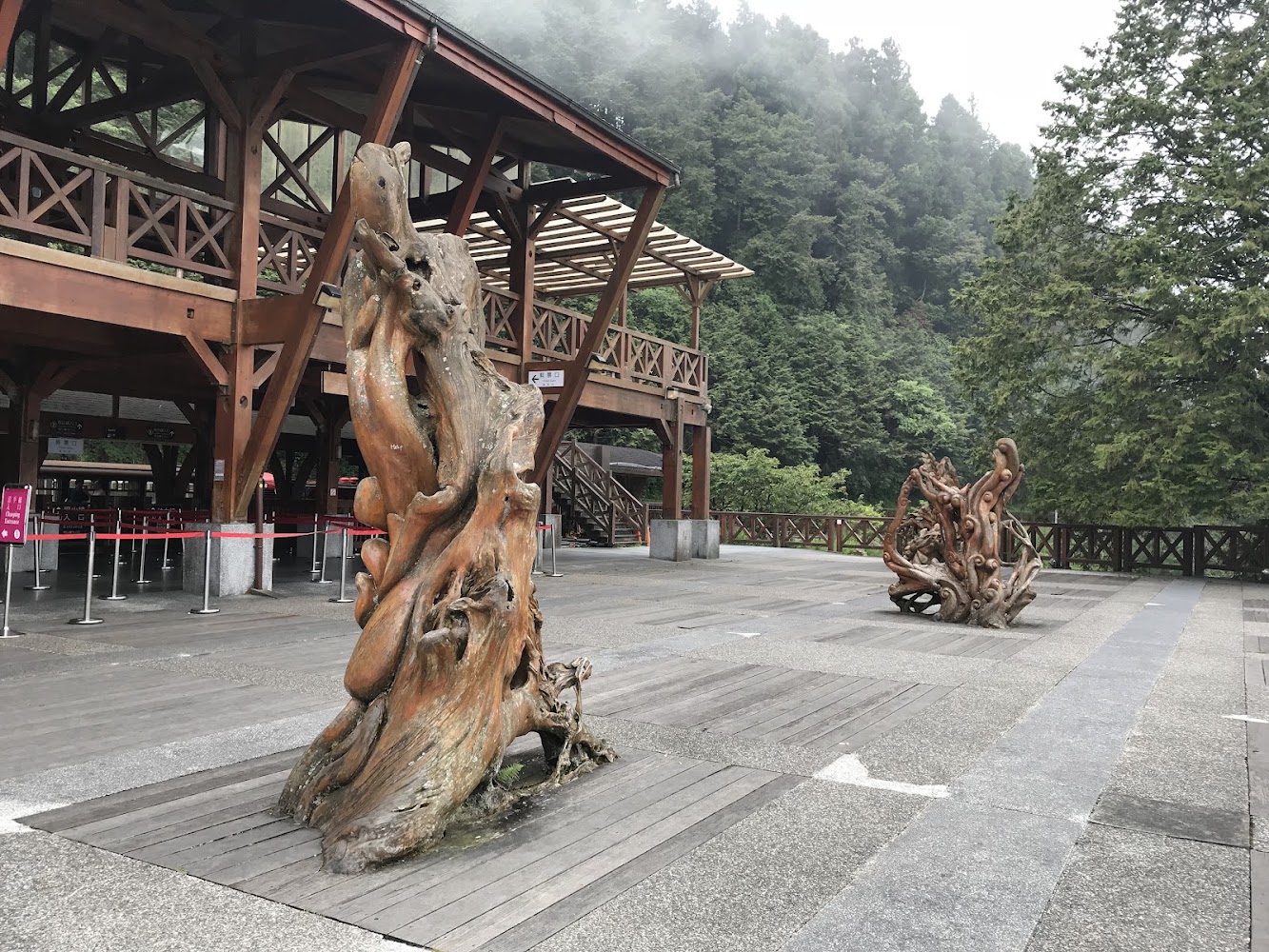 木造建築前的樹根雕塑與森林背景