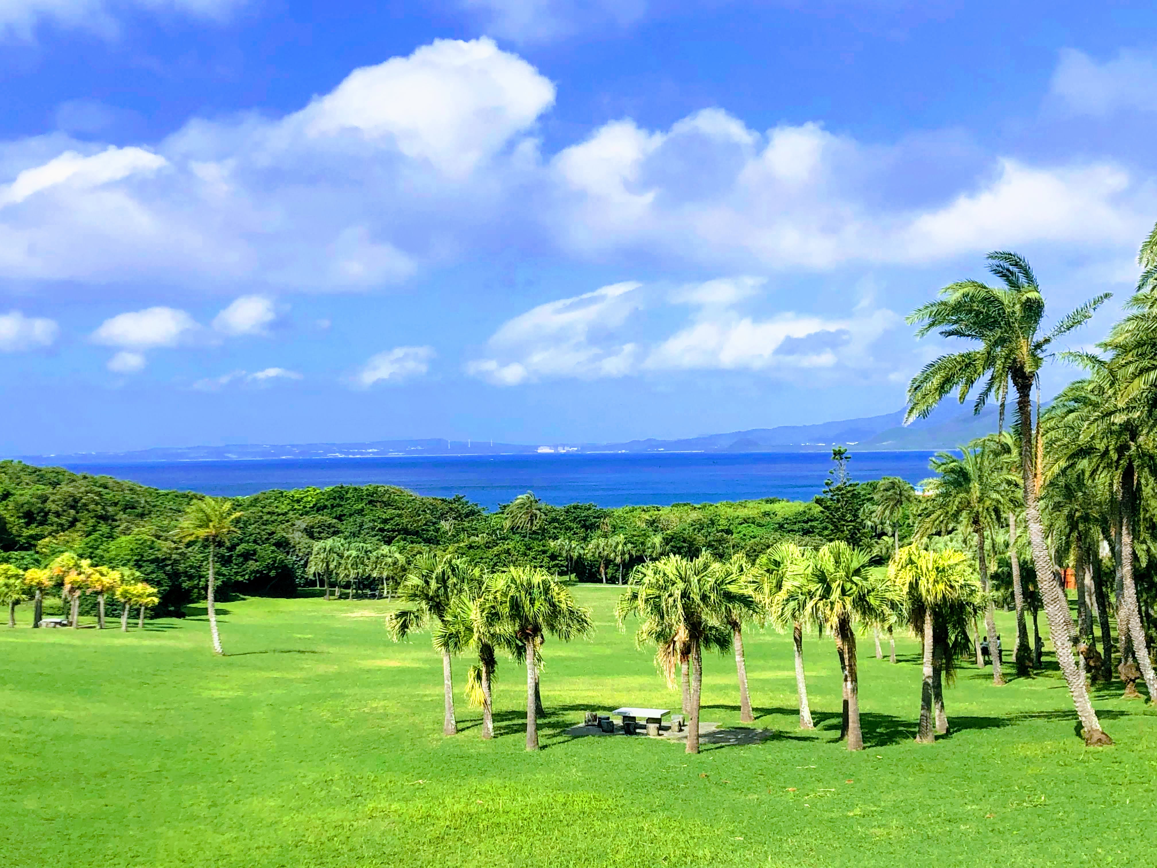 墾丁國家公園草地椰子樹與海景