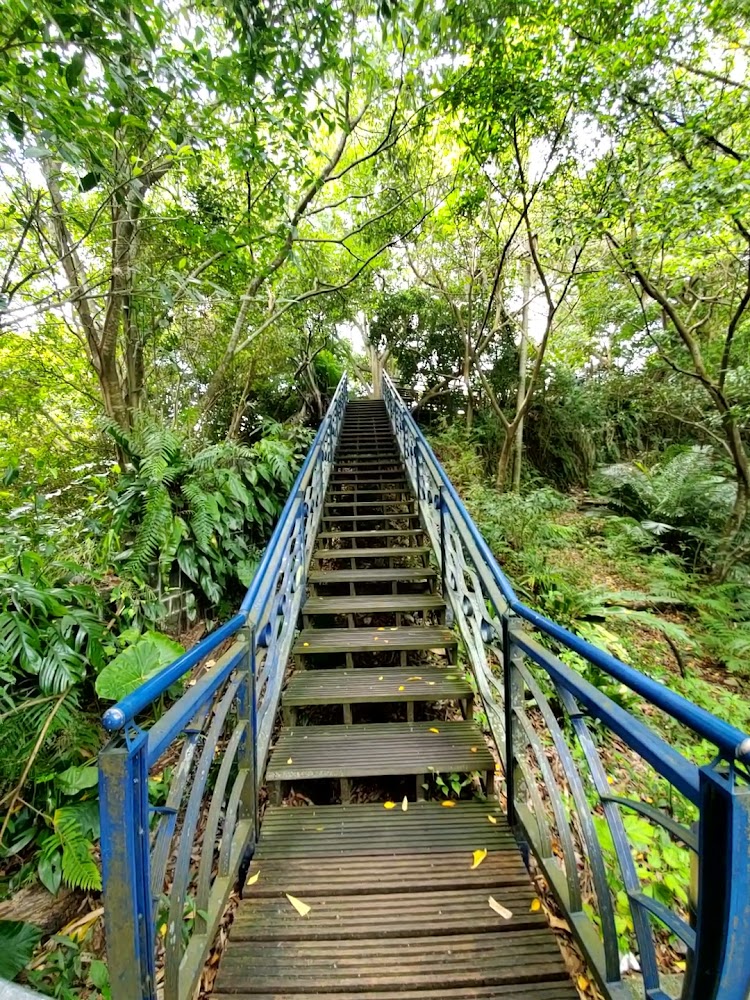 和美山步道木質階梯