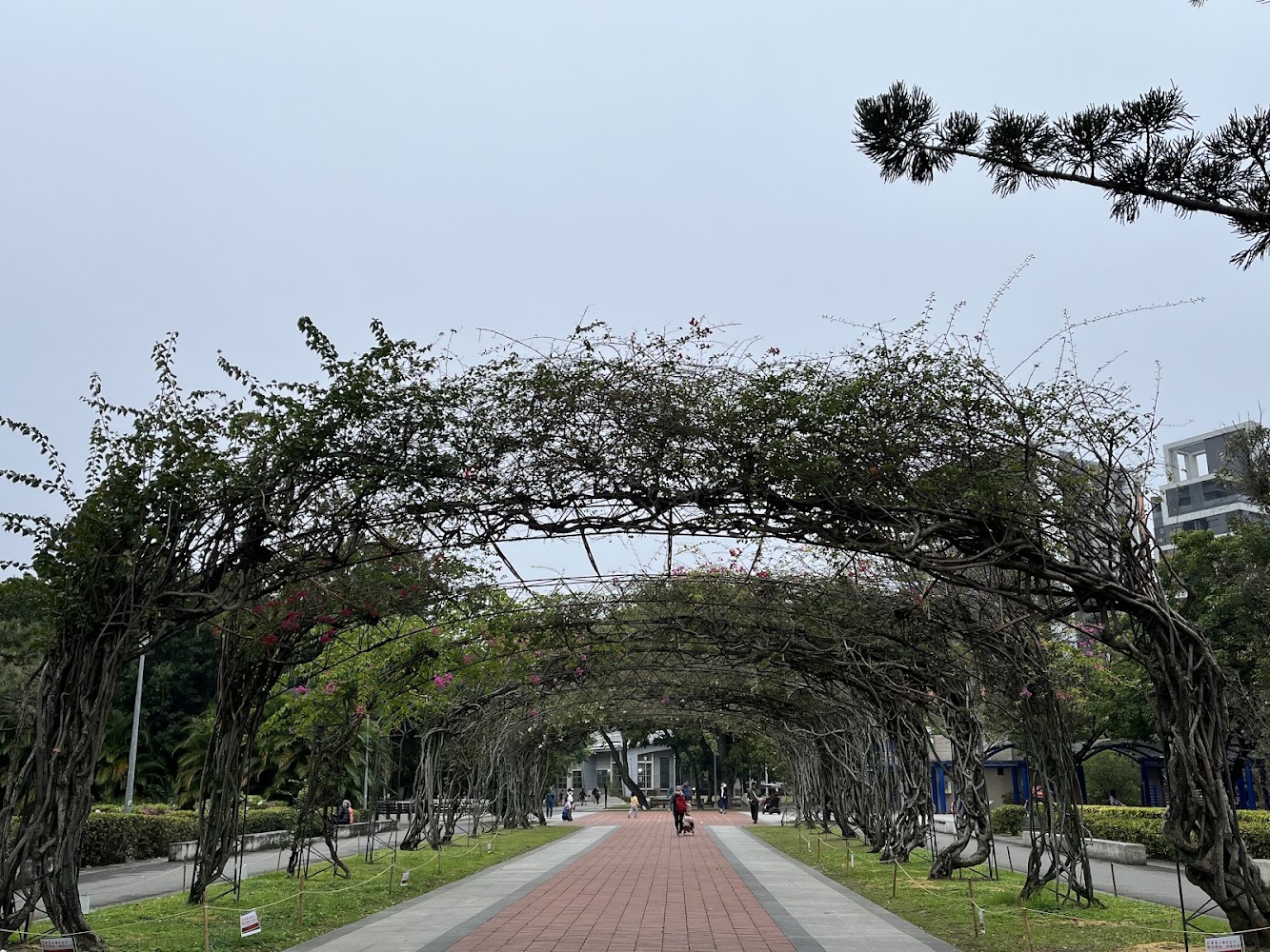 藤蔓拱門步道