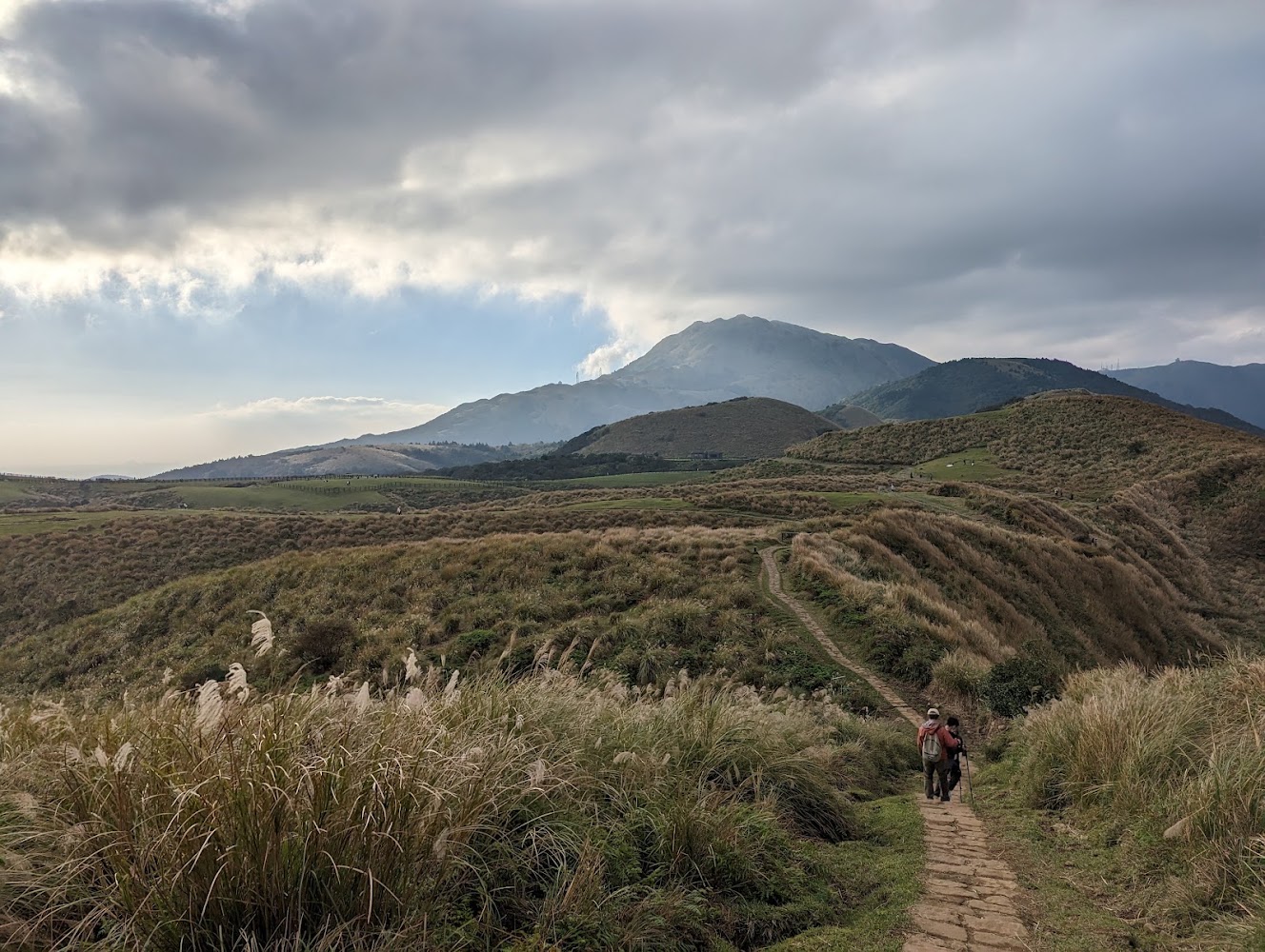 頂山石梯嶺步道芒草原與山景