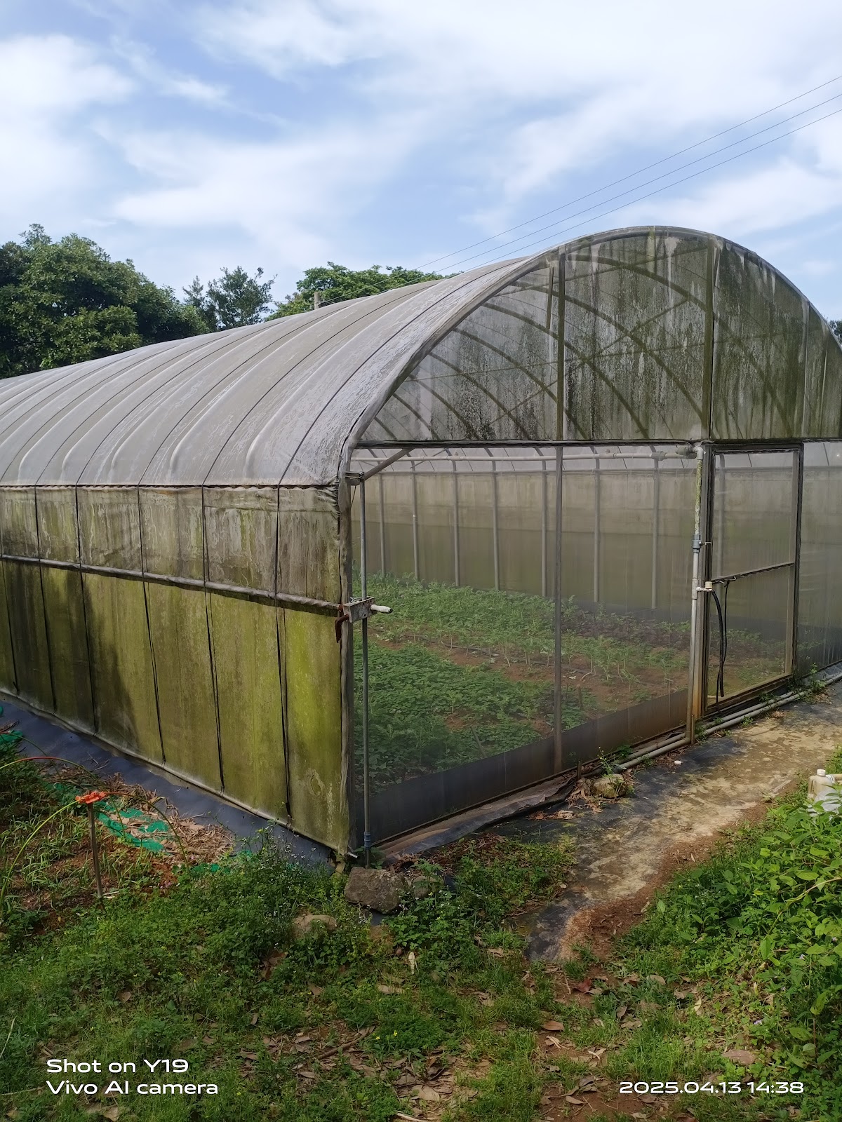 阿里磅生態農場溫室蔬菜園
