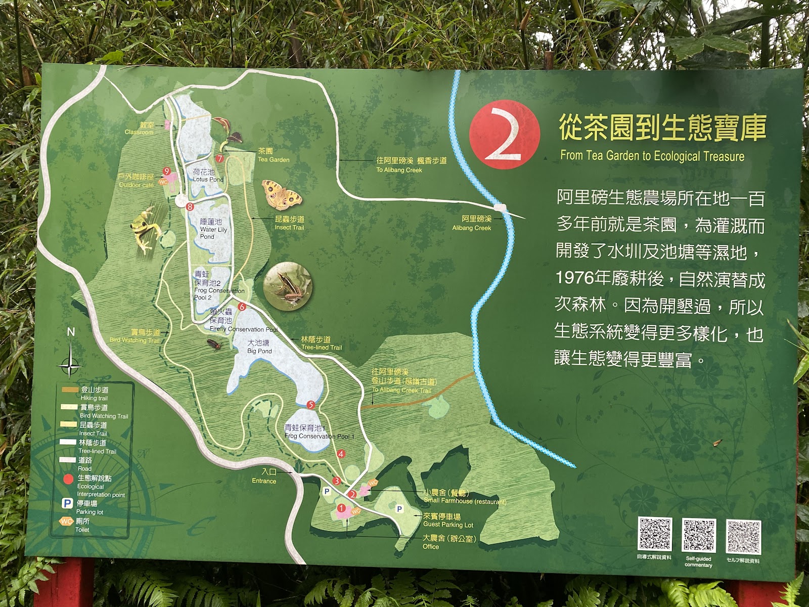 阿里磅生態農場生態導覽地圖看板