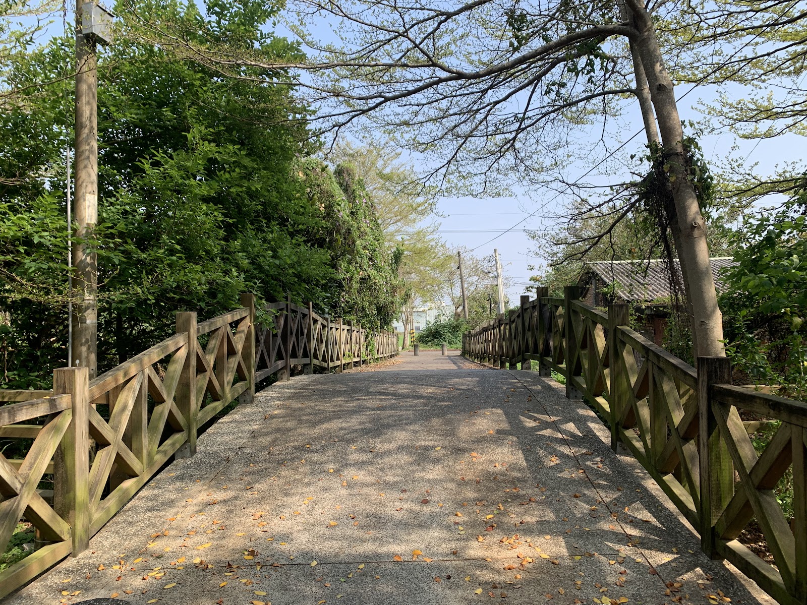 六寶公園木棧道步道 大雅親子公園 潭雅神綠園道