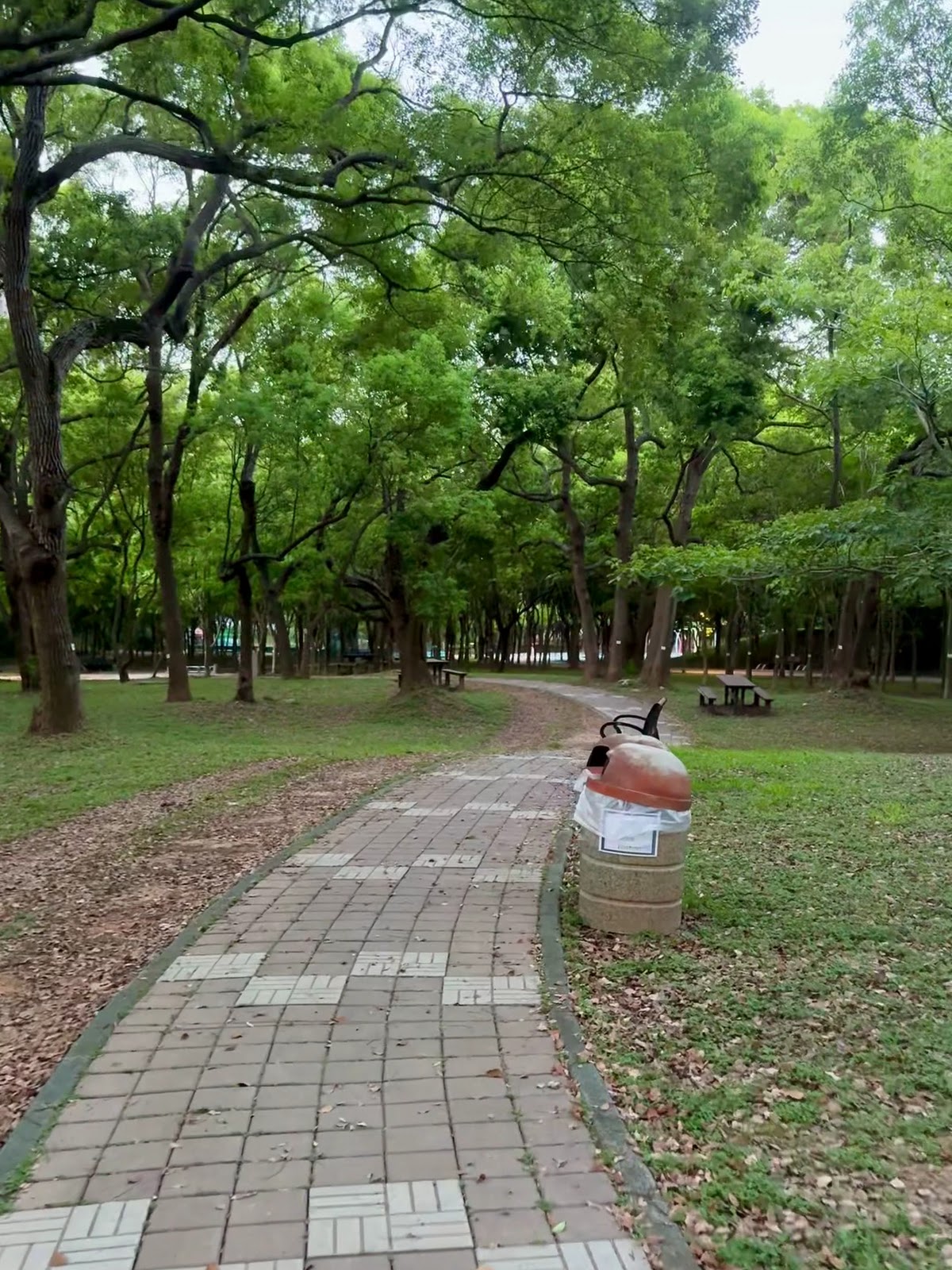 台中大雅中科公園樹蔭步道 大雅景點一日遊